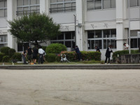 DSC04860