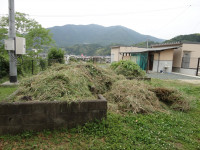 DSC04869
