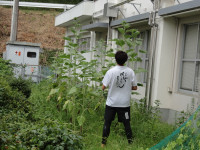 DSC05024
