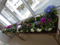 DSC04676