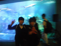 DSCF9176
