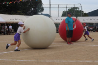 11IMG_7618