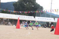 16IMG_7734